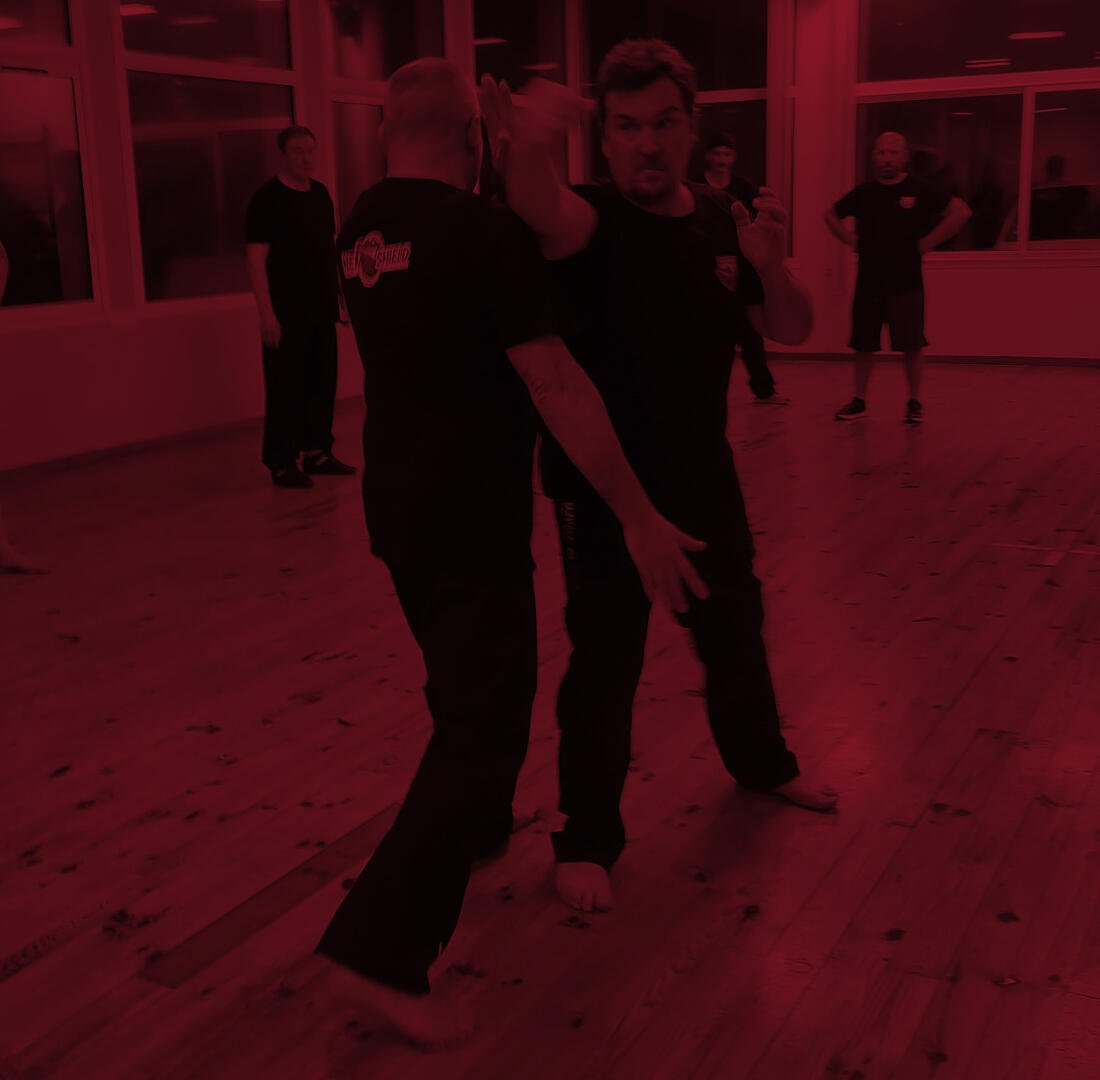 Avikzar system krav maga Nîmes